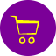 fancy-cart